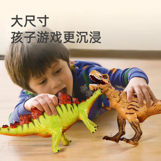 mideer弥鹿MD6226大尺寸仿真恐龙模型-霸王龙 商品图5