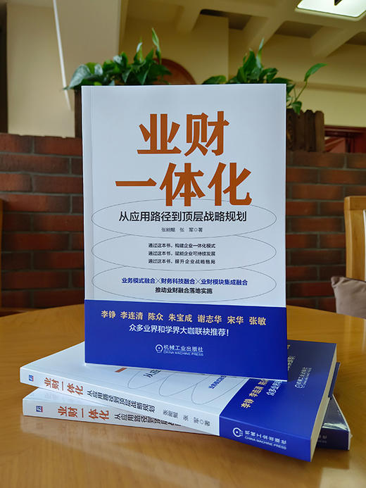 官网 业财一体化 从应用路径到顶层战略规划 张能鲲 张军 财务融合业务技巧 企业经营管理书籍 商品图1