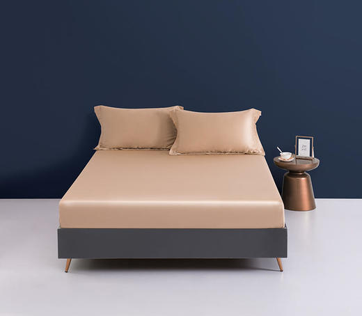 顶柔60S奥地利兰精天丝枕套，触感柔软、轻盈，丝滑和凉爽 商品图0