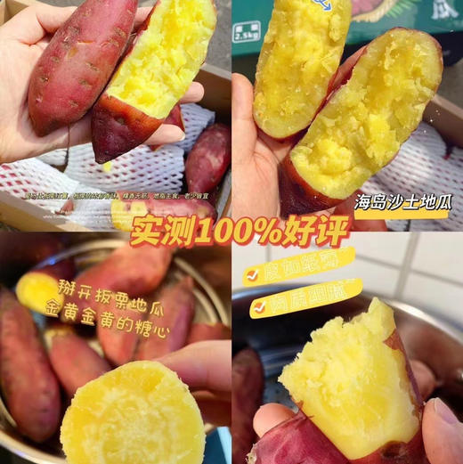 海南桥头—爱马仕板栗高糖地瓜 商品图5