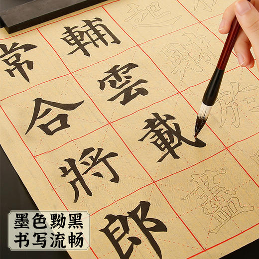 一得阁精制墨汁100/250g书法国画专用大瓶墨水毛笔篆隶行书骨胶油烟墨文房四宝笔墨纸砚可装裱墨汁 商品图3