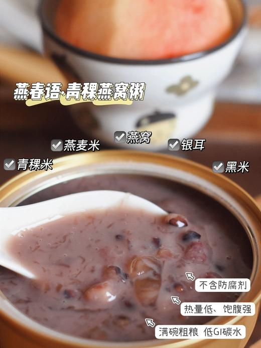 燕春语 元气燕窝粥 100%印尼进口燕窝 0香精0增稠剂0防腐剂 252g*6碗 [福利品] 商品图2