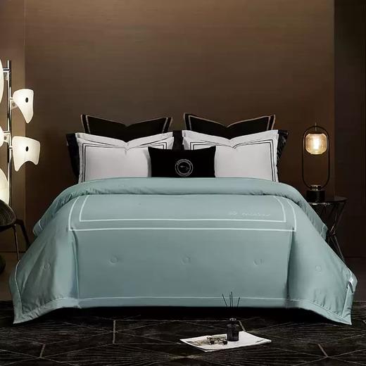 康尔馨空中宫邸系列23年新品夏凉被A类全棉纯棉抗菌被子头等舱款 商品图1