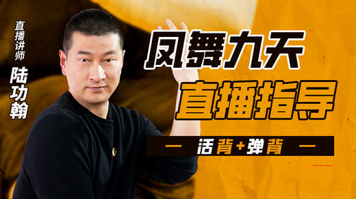 鹤舞九天——带练 商品图0