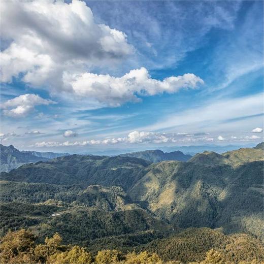 朴语野奢 贵州黔南云山之巅 商品图2