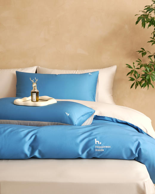 【下架】自然醒60支长绒棉四件套全棉素色奢华绣花套件纯棉床单被罩四季床品LB 商品图4