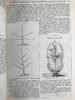 1857年 乡村园艺师杂志 约百幅插图 真皮脊精装16开 商品缩略图3