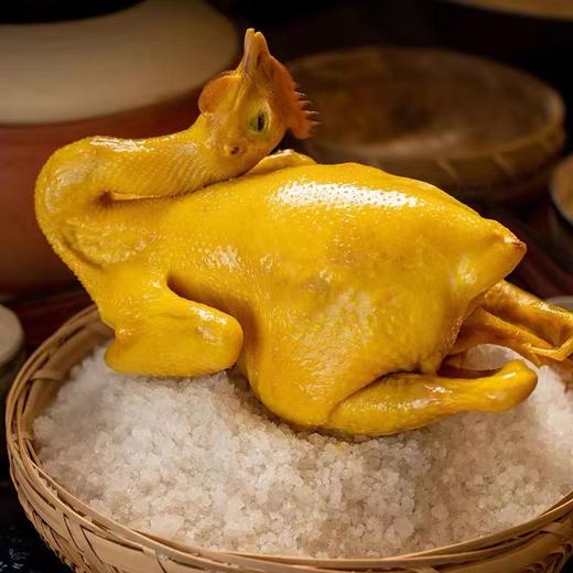 南然农庄客家盐焗鸡 商品图3