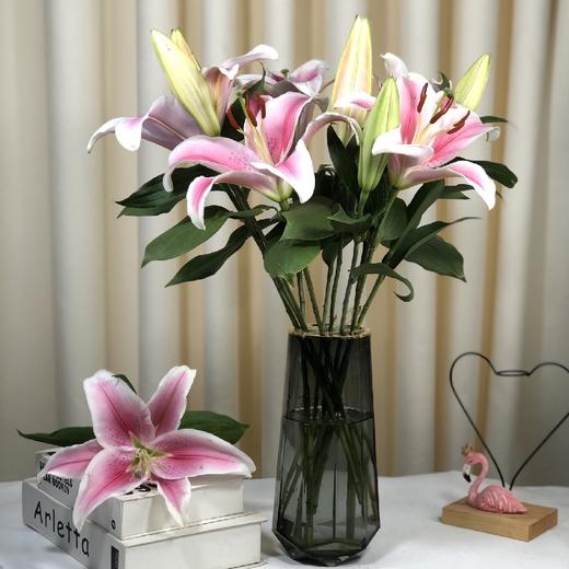 双头索尔邦粉百合 一扎10支 - 拉芙鲜花