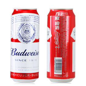 500ml百威啤酒（听）