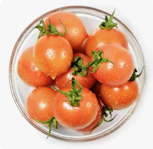 正宗的丹东409 小柿子  1斤55-60个左右 商品图1