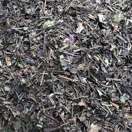 石见穿 常用规格 草药 商品图1