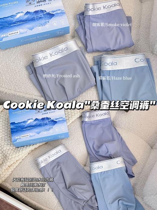 黛唯梵2023新款桑蚕丝男士空调裤冰丝无痕裸感舒适内裤轻薄透气男士四角平角内裤 商品图2