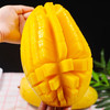 枝悦 越南金煌芒果水仙芒 5斤/9斤 新鲜热带水果 当季产地直发 甜心芒果  48小时发货 商品缩略图2