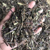 石见穿 常用规格 草药 商品缩略图2