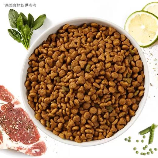 诺瑞全价幼年期猫粮奶糕及幼猫添加蛋黄500g 商品图1