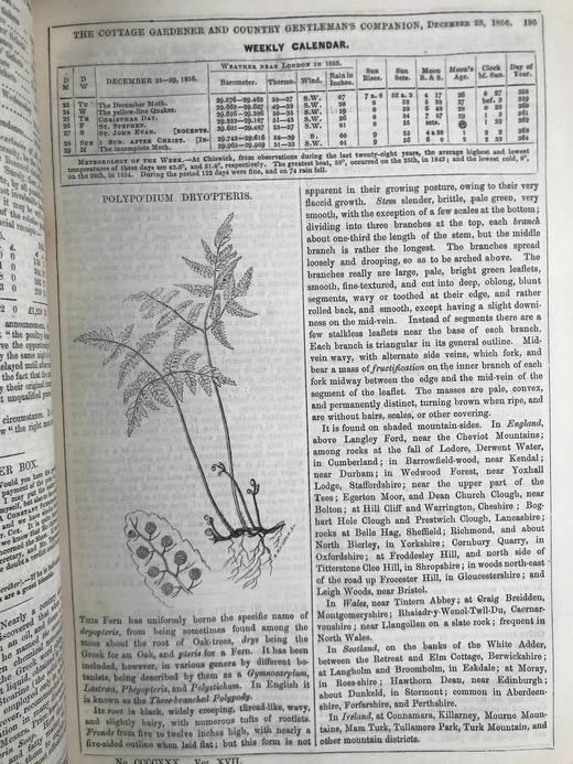 1857年 乡村园艺师杂志 约百幅插图 真皮脊精装16开 商品图4