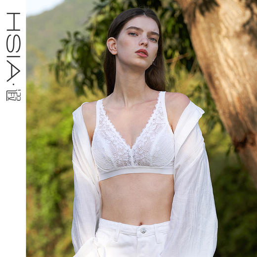 HSIA遐无钢圈内衣女长三角杯轻薄性感蕾丝胸罩全罩杯大胸显小文胸【乡野花开】 商品图0