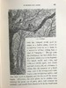 1887年 温带地区自然史 数十幅插图 漆布精装32开 商品缩略图8