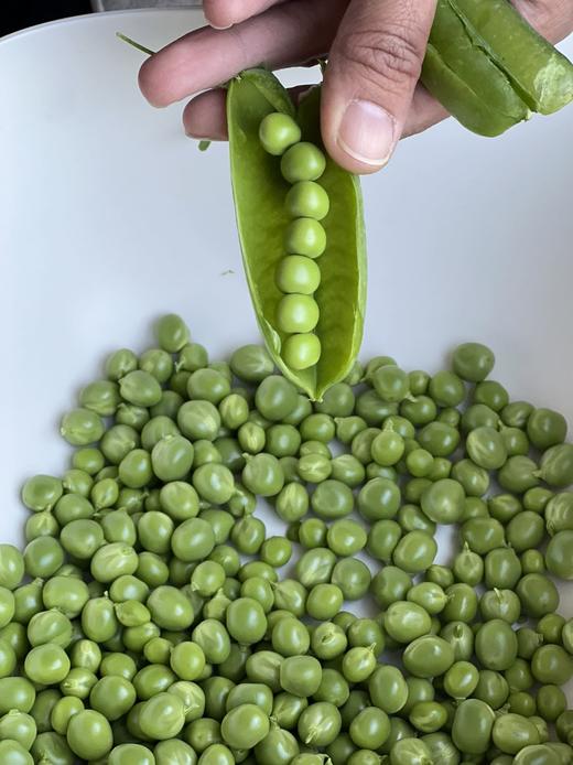 “这豆太棒了！”【大理水果豌豆荚】颗粒饱满 入口鲜甜 鲜嫩圆润 豆香浓郁 生吃脆甜 熟吃软糯 营养丰富更健康 商品图2