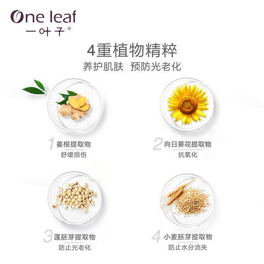 一叶子防晒乳SPF35 30ml 商品图3