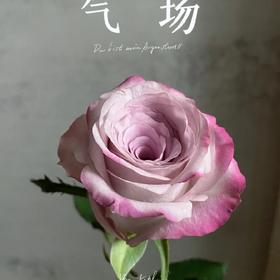 国产玫瑰-气场-20支