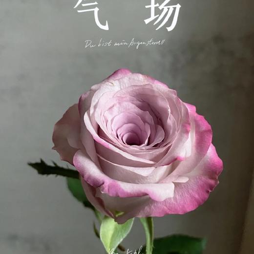 国产玫瑰-气场-20支 商品图0