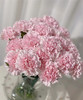 【国产康乃馨】（粉佳人）18-20枝/扎 商品缩略图0