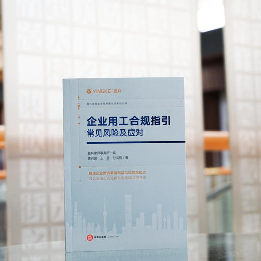 企业用工合规指引 常见风险及应对 商品图4