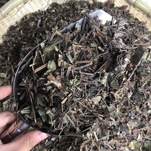 石见穿 常用规格 草药 商品图3