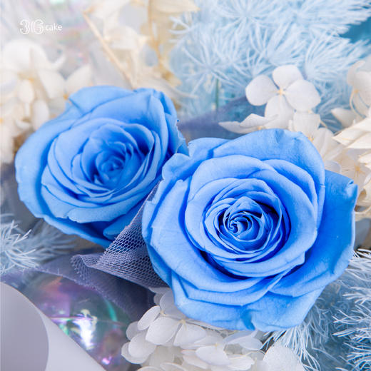 双鱼座·蓝海+双鱼座·奶油蛋糕，组合套餐（fwh） 商品图1