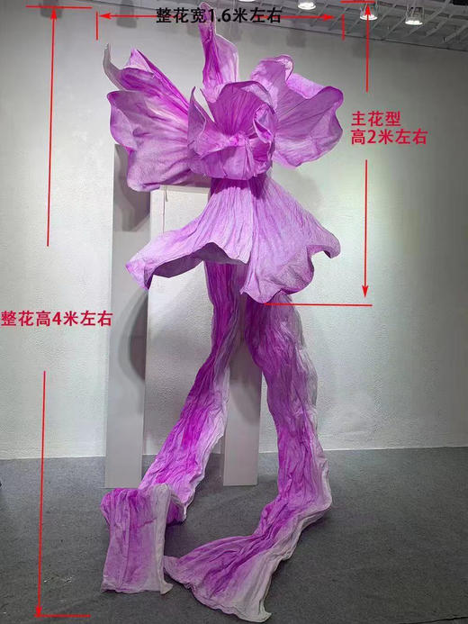 瀑布花（运费自理） 商品图0