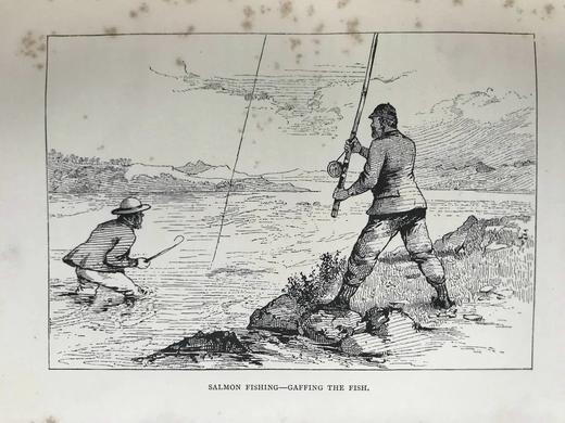 含藏书票！1886年 苏格兰高地与低地运动 52幅插图 漆布精装18开 商品图13