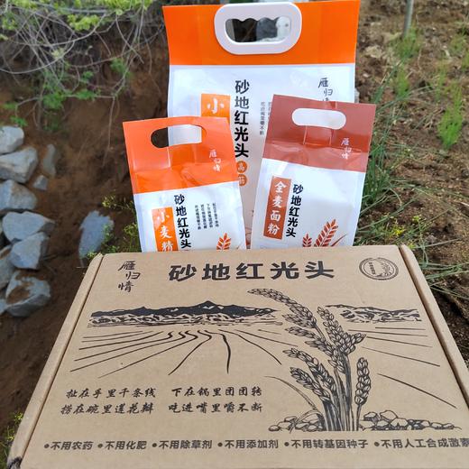 雁归情砂地红光头全麦面粉 天然优质小麦 自留种老品种 筋度高 麦香浓 567项农残0检出 可做馒头包子面条面包 商品图2