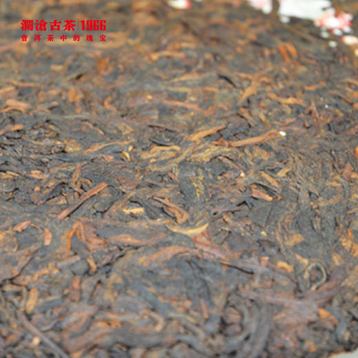 【回家之旅专属】澜沧古茶2013年景迈陈醇大饼(熟)357g 商品图3
