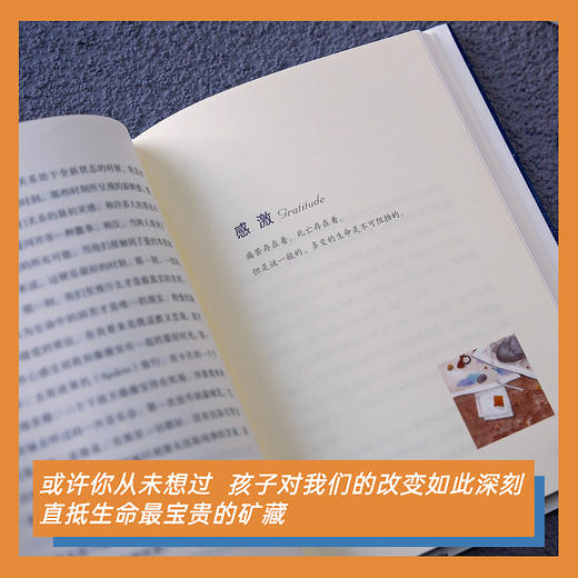 孩子是个哲学家 父母必读 商品图4