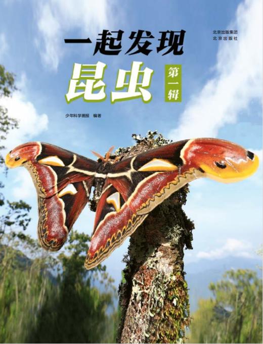 2023年《一起发现》过刊优惠随机3本 商品图5