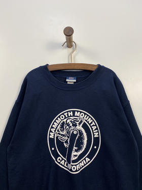 90年代 Vintage MV SPORT 加州 猛犸象山 卫衣 _SLSS(S)