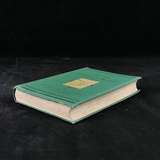 1887年 温带地区自然史 数十幅插图 漆布精装32开 商品图1