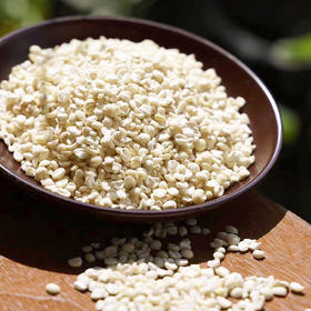 『云南香糯薏仁米』营养谷物，软糯清香，半碎颗粒易煮熟