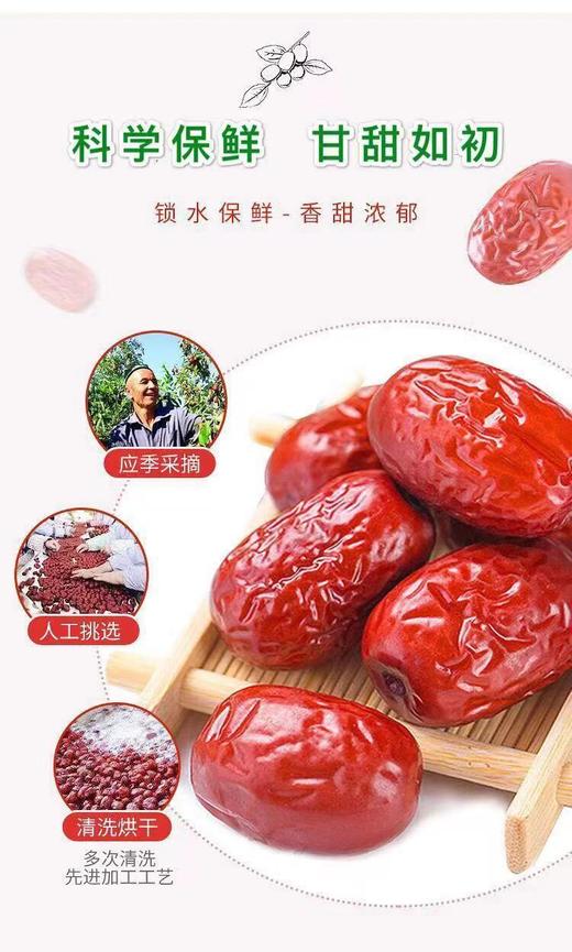 新疆若羌红枣500g*1袋特级枣【FY】 商品图4