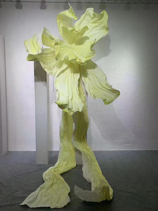 瀑布花（运费自理） 商品图7