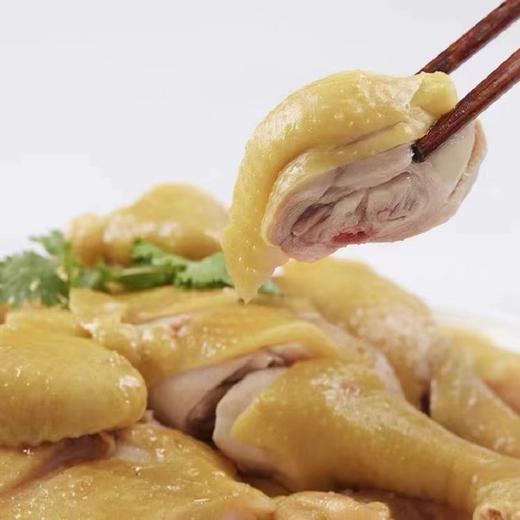 南然薄盐白切鸡 商品图2