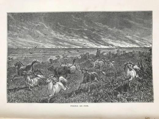 1887年 温带地区自然史 数十幅插图 漆布精装32开 商品图13