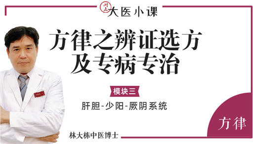 辨证选方及专病专治：肝胆_少阳_厥阴系统8讲 商品图0