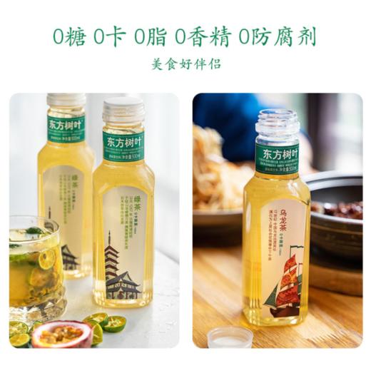东方树叶绿茶500ml*15瓶 商品图2