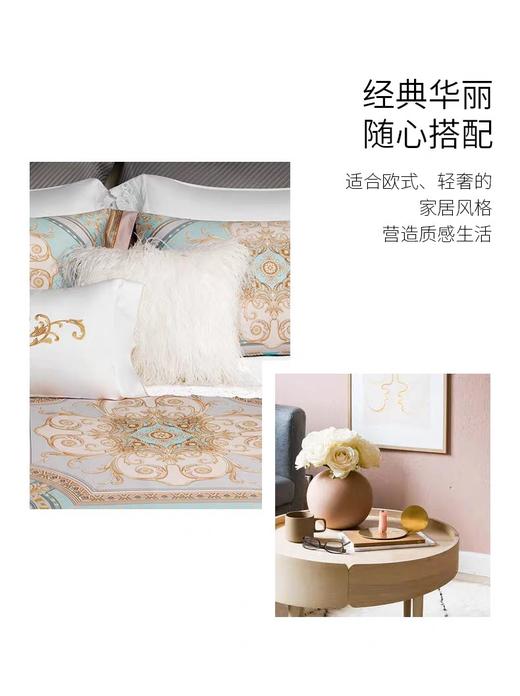 ROYALCOVER/罗卡芙家纺 100支全棉独幅数码印花四件套 阿尔萨斯堡 商品图3