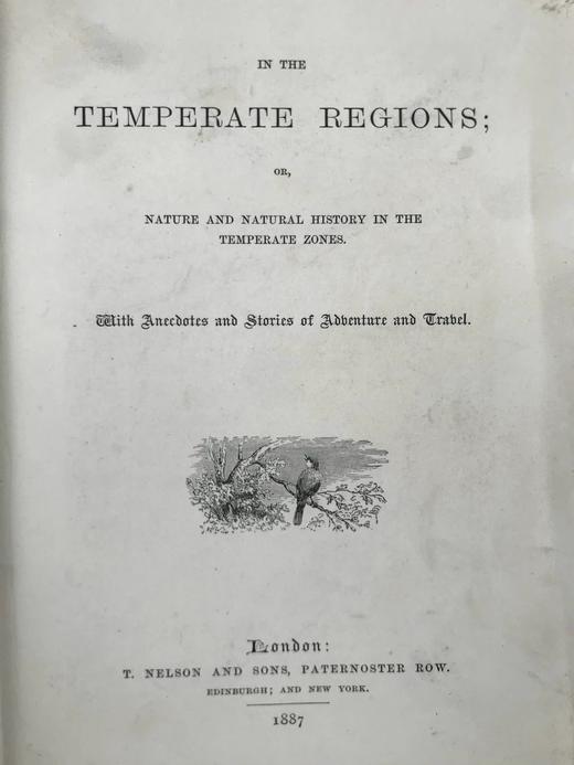 1887年 温带地区自然史 数十幅插图 漆布精装32开 商品图2