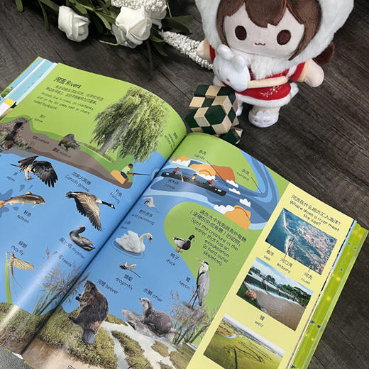 【图书】《DK自然双语词汇1000》自然认知和语言启蒙双管齐下！ 商品图8