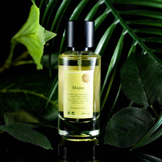 宣香 嫩枝莫吉托 Scent Chant Mojito 分装 商品图0